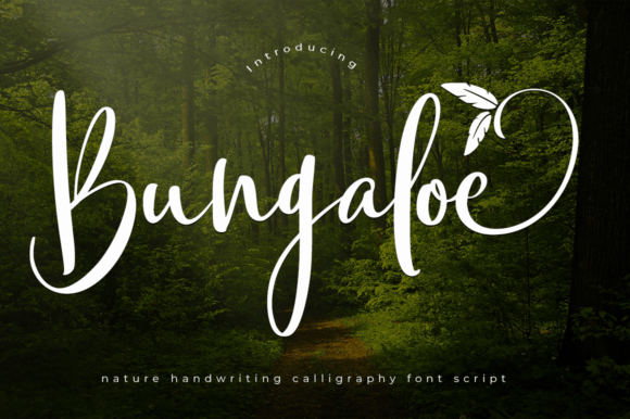 Bungaloe: A Handwritten Font for Elegant Design