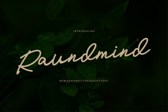 Raundmind: A Playful Handwritten Font