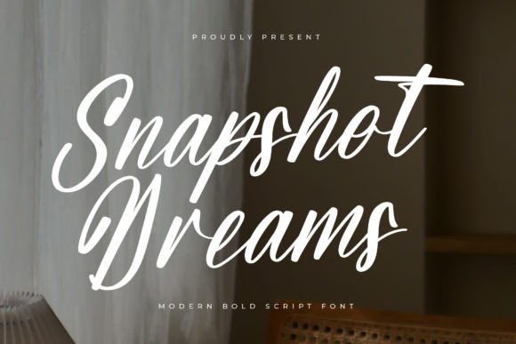 Snapshot Dreams: A Font for Business Style